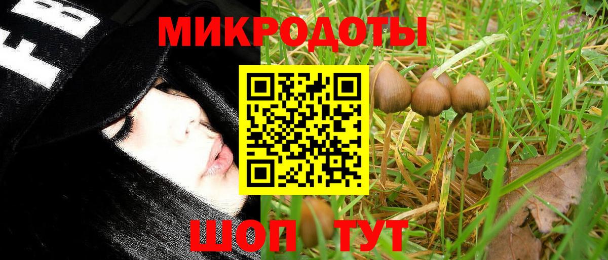 Электросталь  Псилоцибиновые грибы Psilocybe  Вход с VPN 