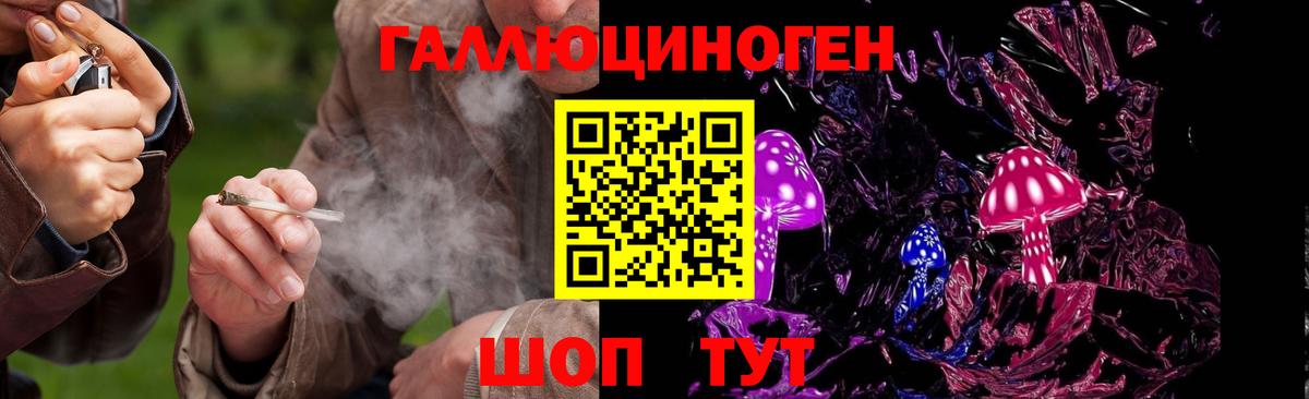 Псилоцибиновые грибы мухоморы Электросталь